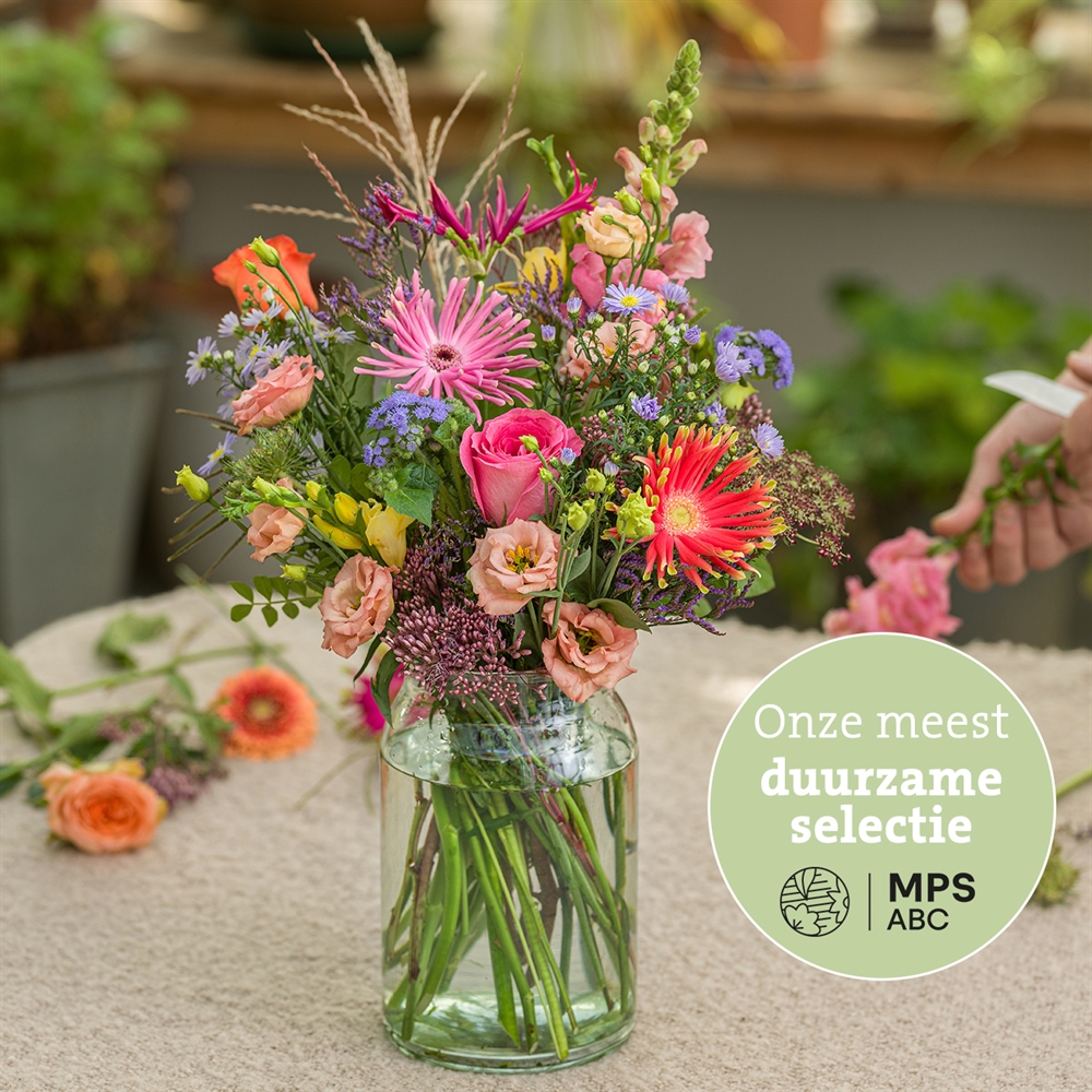 Groen Gekeurd pluk